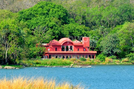 jogi mahal ranthambore